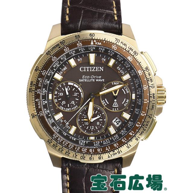 シチズン プロマスターSKY 世界限定700本 CC9023-13X 中古 メンズ 腕時計